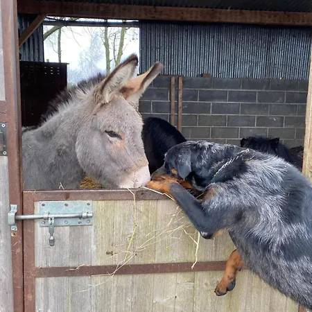 דירה Entre Parenthese